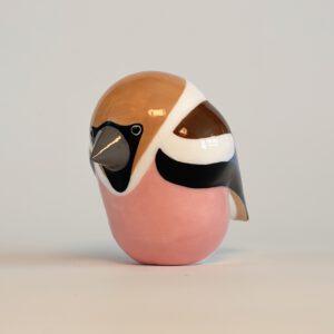 Appelvink (apple finch)