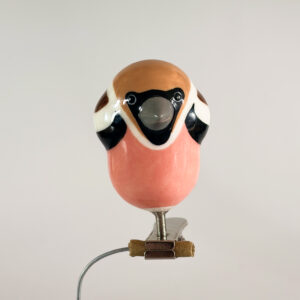 Appelvink (apple finch) - clip