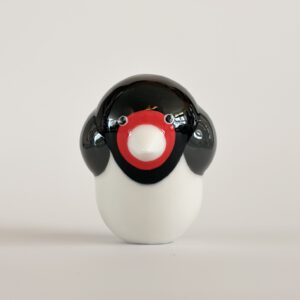 Boerenzwaluw (barn swallow)