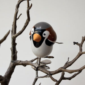 Huismus (house sparrow) - clip