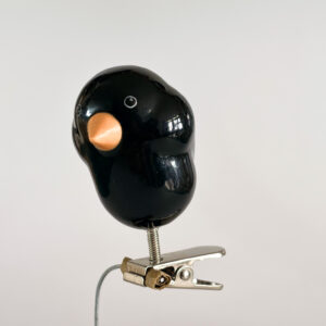 Merel (blackbird) - clip