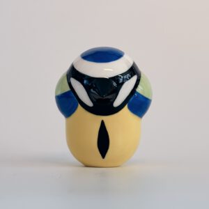 Pimpelmees (blue tit)