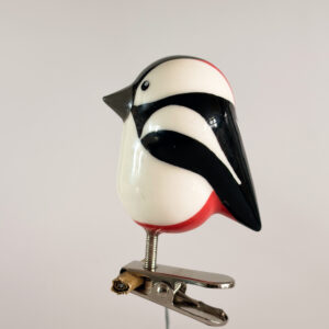 Specht (woodpecker) - clip