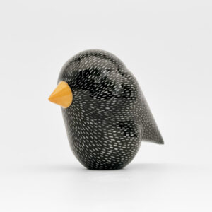 Spreeuw (starling)