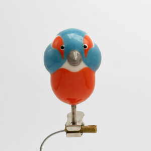 Ijsvogel (kingfisher) - clip