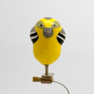Kwikstaart (english wagtail) - clip