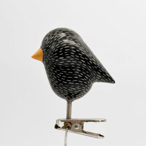 Spreeuw (starling) - clip