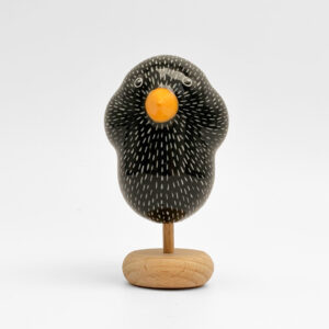 Spreeuw (starling) - small